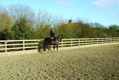 Equestrian Riding Arena