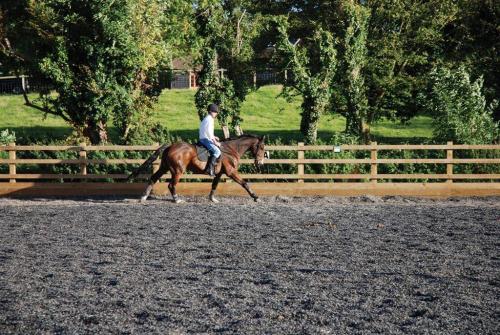 Riding Arena fencing