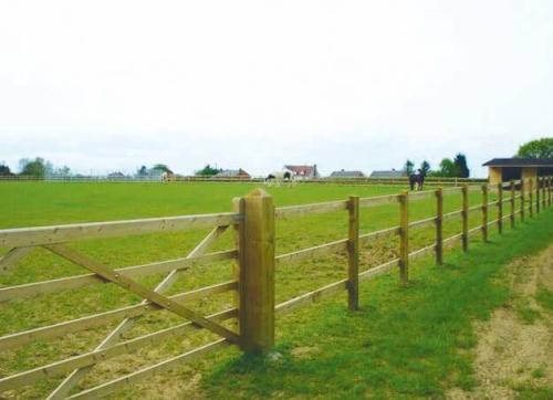 post and rail nailed fencing and gate