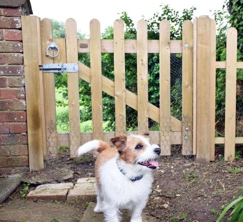 Dog-Fencing-palisade-garden-gate